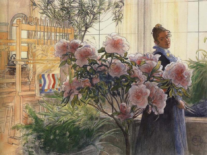 Carl Larsson Azalea